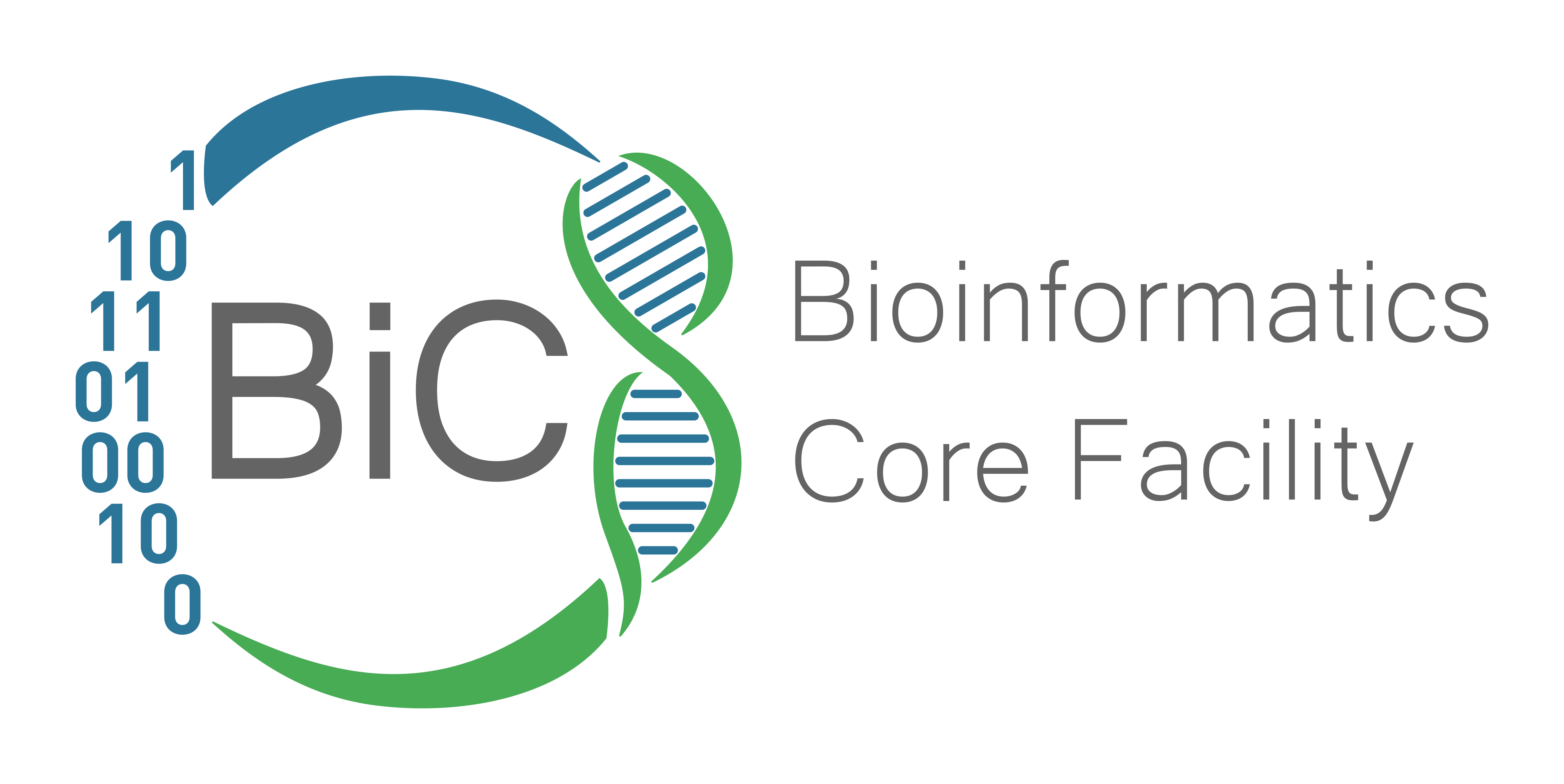 Bioinformatics Core Facility